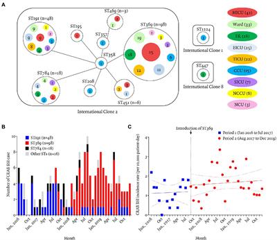 Replacement of the Dominant ST191 Clone by ST369 Among Carbapenem-Resistant Acinetobacter baumannii Bloodstream Isolates at a Tertiary Care Hospital in South Korea